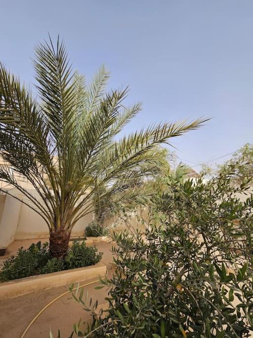 Hadhri Appartement توزر المظهر الخارجي الصورة