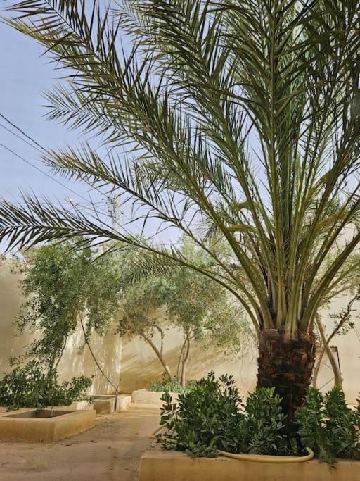 Hadhri Appartement توزر المظهر الخارجي الصورة