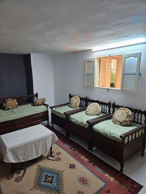 Hadhri Appartement توزر المظهر الخارجي الصورة