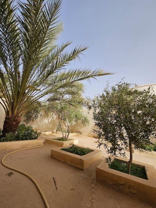 Hadhri Appartement توزر المظهر الخارجي الصورة